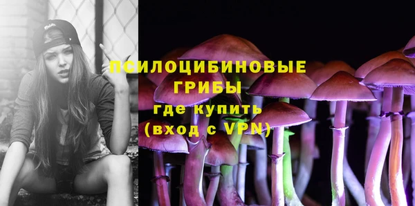 молекула духа Балахна