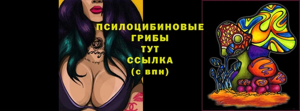 тгк Няндома